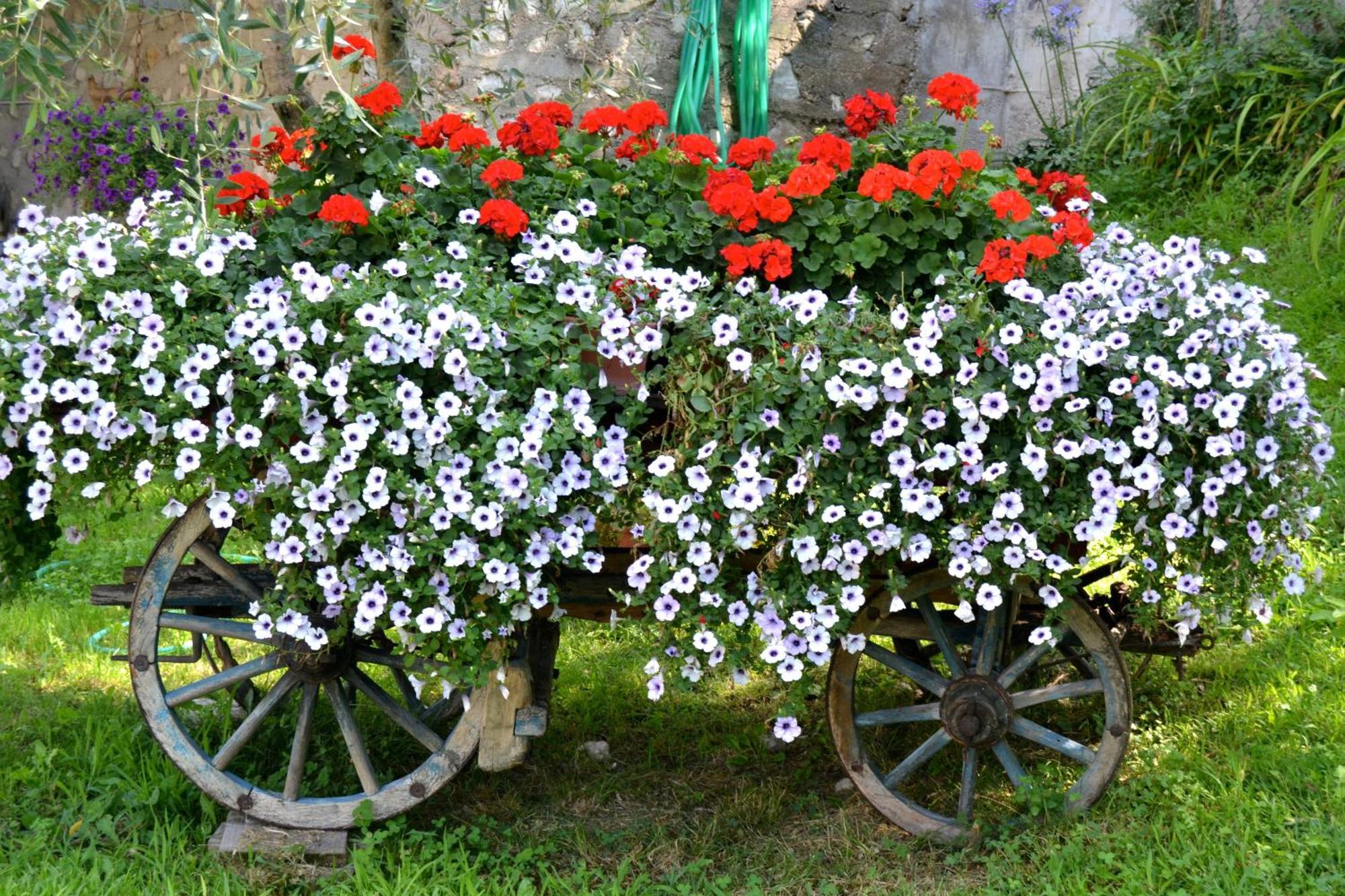 Appartamenti La Perla Malcesine Extérieur photo