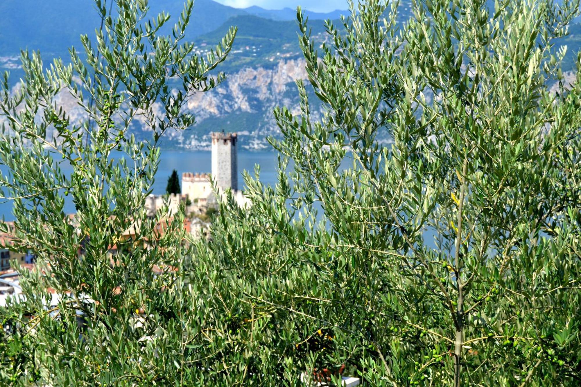 Appartamenti La Perla Malcesine Extérieur photo